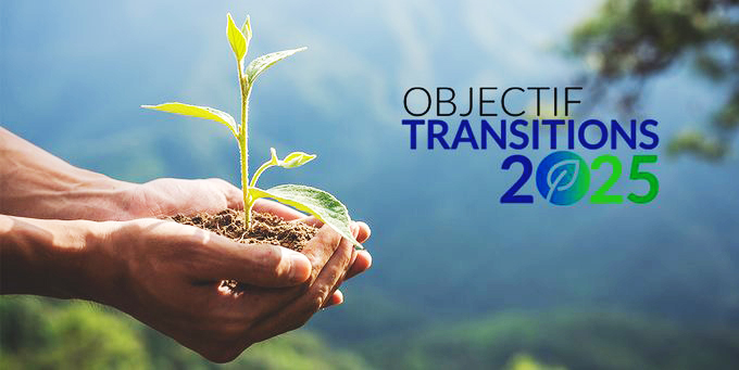 Une main qui tient une plante